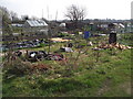 Unworked Allotment