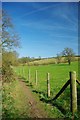 Footpath and Jury Hill