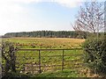 Corranarry Townland