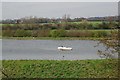 Fishing Lake Near West Horndon