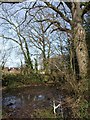 Flooded green lane, Mutterton