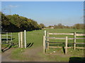 Chertsey, Dumsey meadow