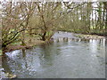 River Wylye, Quidhampton