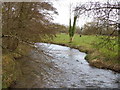 River Wylye, Quidhampton