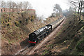 Crowcombe: train in Crowcombe cutting