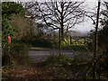 Bridleway on Puttenham Common