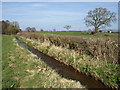 River Weaver