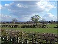 Countryside at Morley, Cheshire