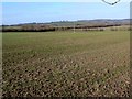 Countryside near Shottery