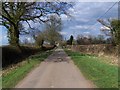 Lane Near Brockhurst