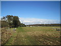 Footpath leading to Byerley Stud