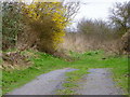 Bridleway near Harrow Farm