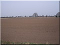 Farmland near Becksyke Farm