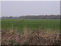 SE6434 : Farmland off Moor Lane by JThomas