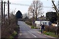 Tadpole Lane looking towards Woodward