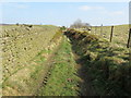 Track leading to Cob Lane