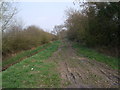 Bridleway towards Spaldington Common