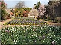 Spring flowers in Manor Gardens