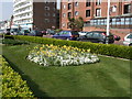 Spring flowers on Bexhill Seafront