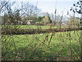 A neatly layered hedge