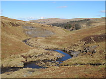 NY8046 : The River West Allen above Ladlewell Quarry by Mike Quinn