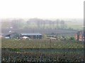 View across orchards to Childs Farm