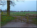 Gate to Higher House Farm, Ashley. Cheshire