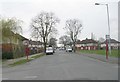 Damon Avenue - viewed from Norbury Road