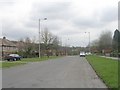 Ravenscliffe Avenue - viewed from Falkland Road