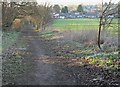 Bridleway to Evington