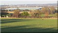 View towards Leicester