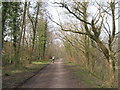 NCN Route 47, Sirhowy Valley Country Park