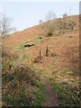 Hillside near Hengoed