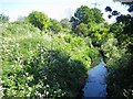 Dagenham Brook in Leyton