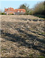 Farmland at North Baddesley