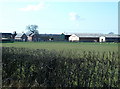 Ryecroft Farm near Ollerton, Cheshire