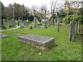 All Saints, Fulham: spring in the churchyard (c)