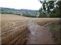 Towards Lower Brailes