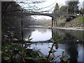 Footbridge & Japanese knotweed