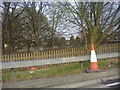 Roadside verge with traffic cone, Staines bypass