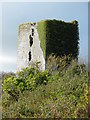 M4525 : Derrydonnell Castle by dougf