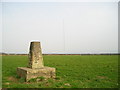 Trig point and mast