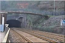 SX9676 : Dawlish : Kennaway Railway Tunnel by Lewis Clarke