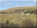 West Allen Dale around Myrtle Bank