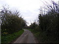 TM3760 : Road no.U2321 at Farnham by Geographer