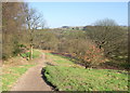 Footpath to the Jumbles