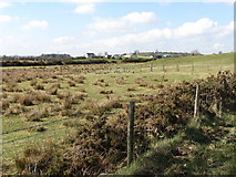 J2734 : Reedy fields south of the Island Moyle Road by Eric Jones