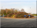 Birchwood Centre, Traffic Island