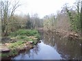 The River Don near Clay Wheels Lane