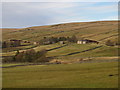 West Allen Dale north of Whiteley Shield